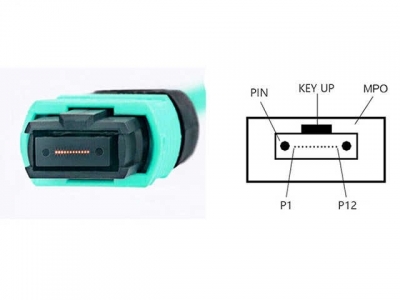 MPO-MPO 12芯光纖跳線(xiàn)